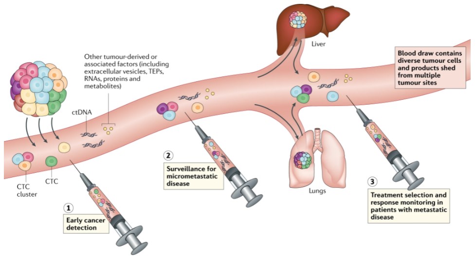 Image of Liquid Biopsy