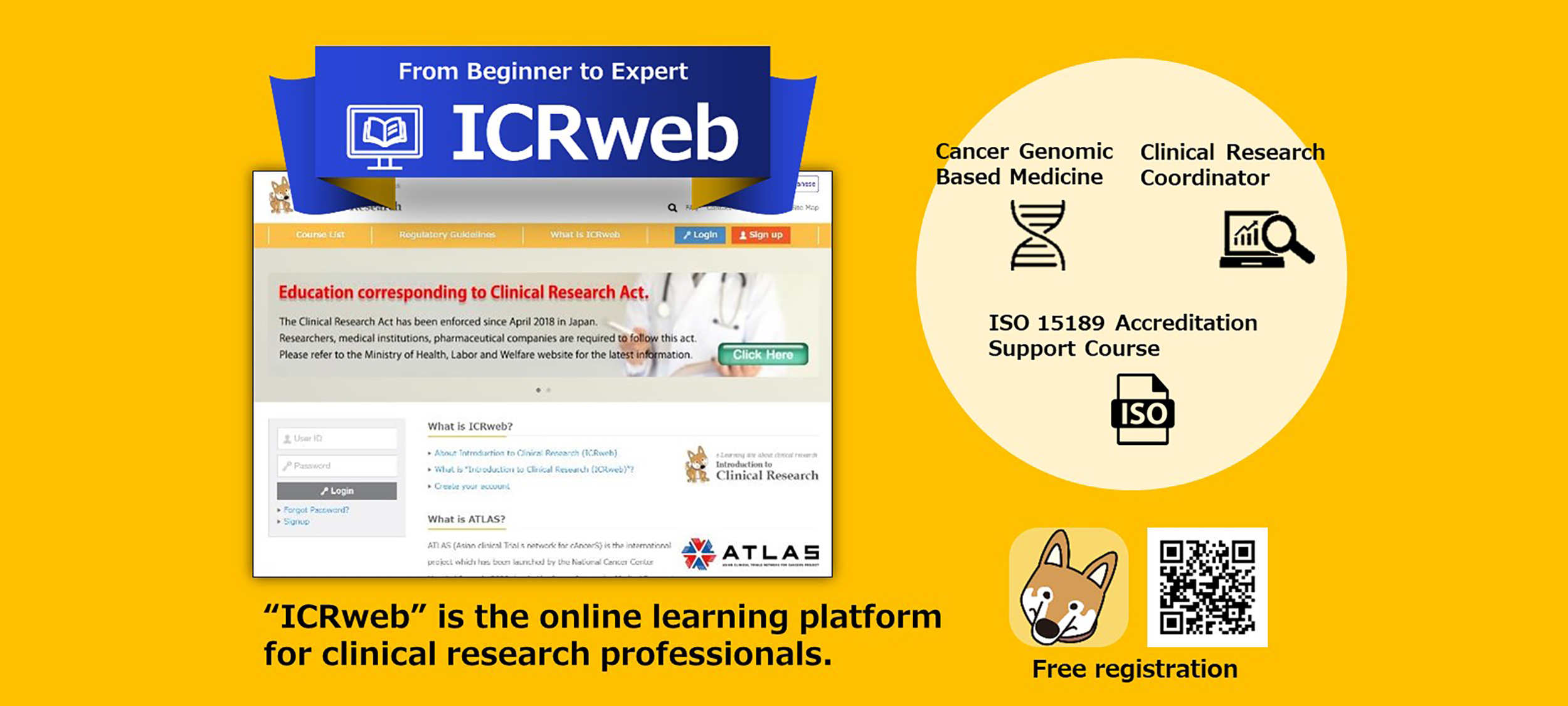 ICR web